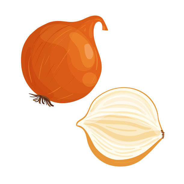 全洋葱和半洋葱复古雕刻图片下载