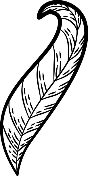 植物植物叶图标手绘风格图片下载