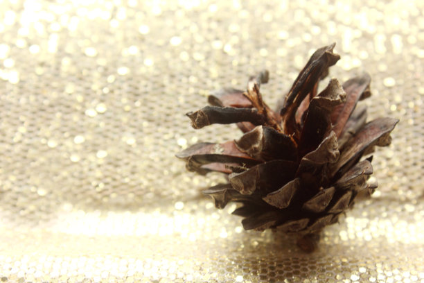 银光闪闪的背景上点缀着美丽的松果。新年和圣诞节的装饰品。物体在左边。假期的概念。弗拉。从以上观点。文本复制空间图片下载