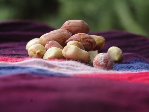 咸花生图片下载