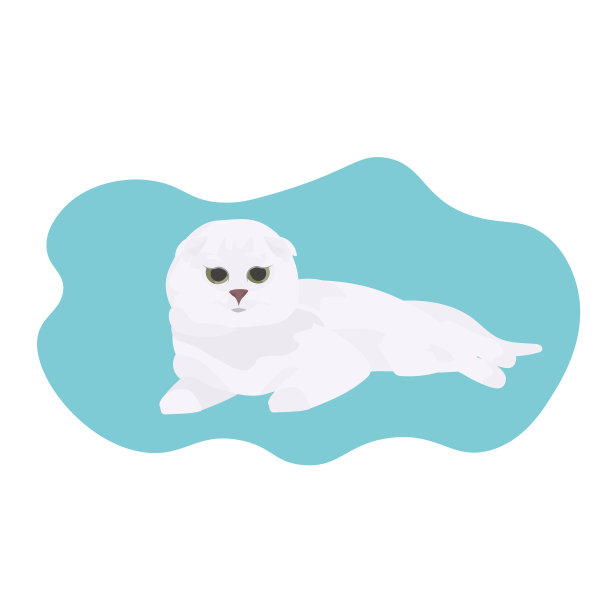 可爱的白猫睡觉家宠物放松在地板上图片下载