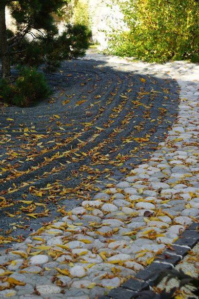 秋天在日本的岩石花园。高质量的照片图片下载