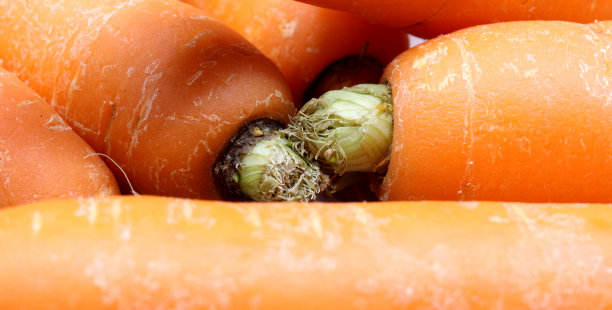 有机和新鲜胡萝卜的背景图片下载