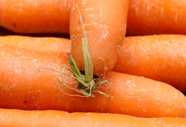 有机和新鲜胡萝卜的背景图片下载