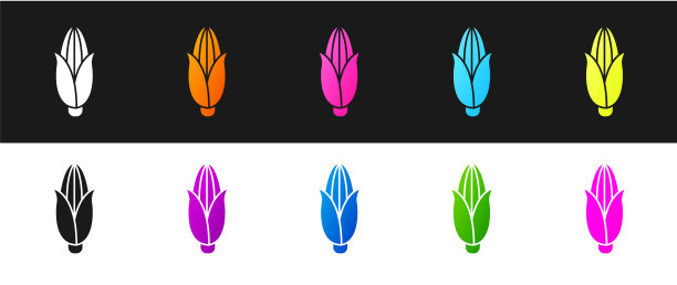 设置玉米图标隔离在黑色和白色图片下载