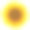 向日葵孤立，现实的夏季花插图。图片下载