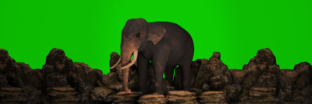 大象在日落时分。三维渲染图片下载