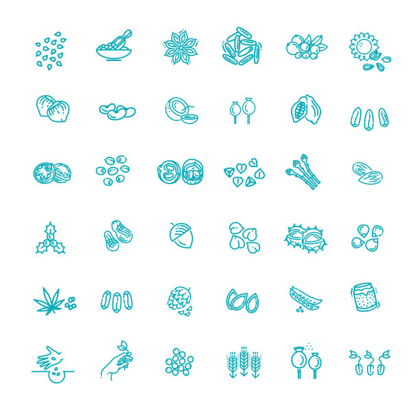 植物种子和坚果矢量图标设置图片下载