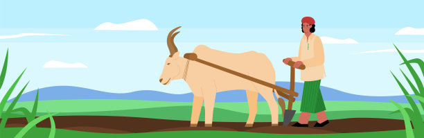 印度农民犁地水牛，平面卡通矢量插图。图片下载