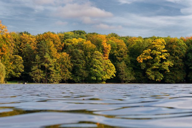 湖与秋天的城市森林图片下载