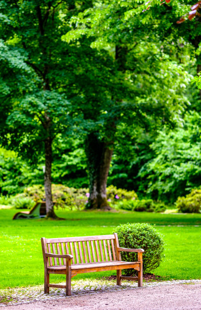 木公园的长椅上图片下载