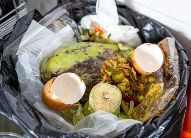 厨房垃圾垃圾箱的特写。图片下载