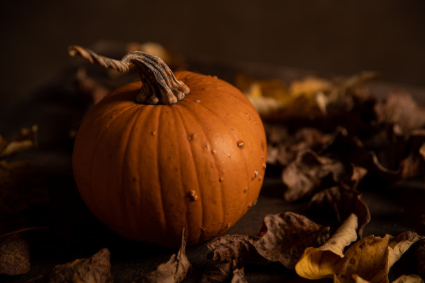 秋天的静物黄昏南瓜。图片下载