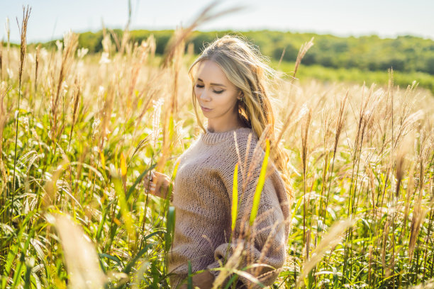 年轻美丽的女人在秋天的风景与干花，麦穗。时尚秋、冬。阳光明媚的秋天，舒适的秋天毛衣。时尚的照片图片下载