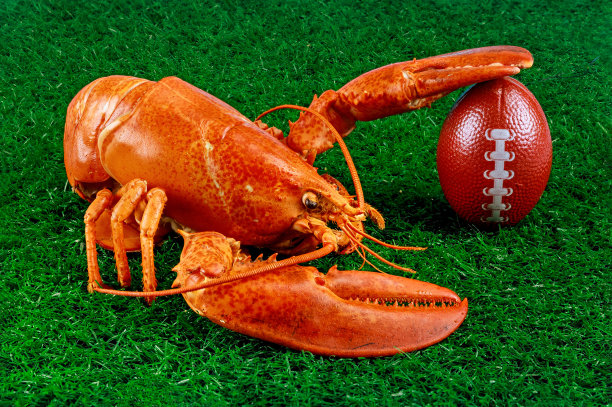 摘要美式足球比赛的背景。图片下载