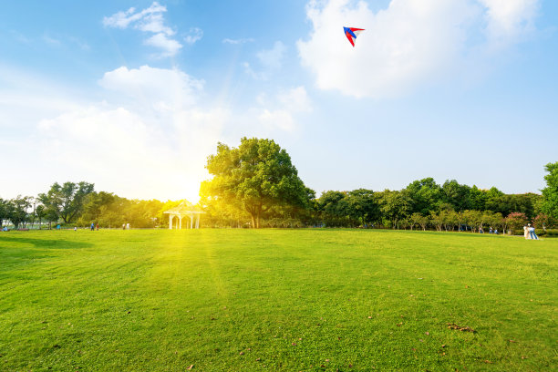 天气好，公园里有草坪图片下载