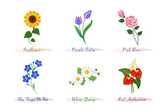 水彩植物园，自然植物花，向日葵，郁金香，玫瑰，勿忘我，雏菊，红色的红手图片下载