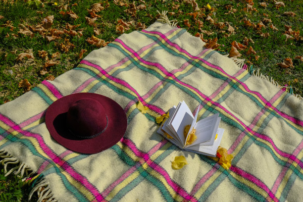 带流苏的格子毯子，红色的软呢帽，还有一本被黄色落叶覆盖的打开的书。秋天野餐，在黄叶的草地上。前视图。本空间图片下载