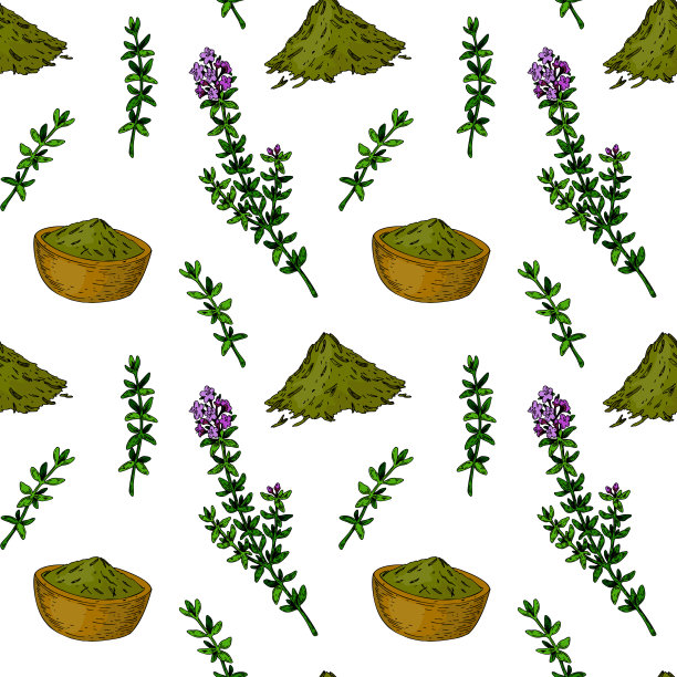 手绘顺势疗法和替代医学无缝模式与干燥的草药。矢量插图在草图风格。图片下载