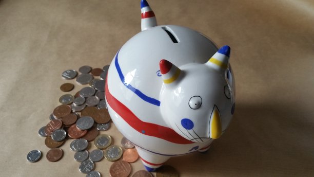 小猪储蓄罐猫的形状图片下载