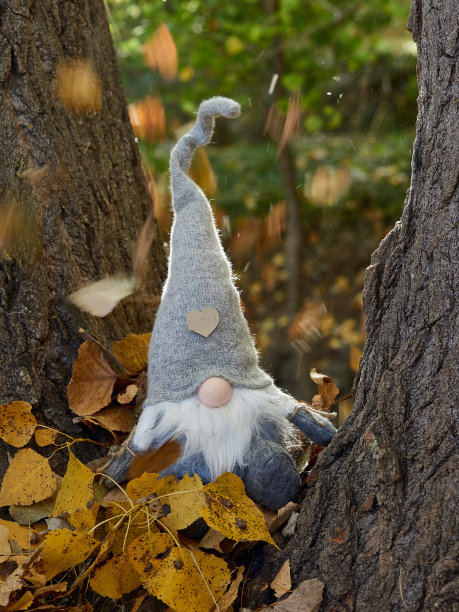 精灵和秋天的颜色图片下载