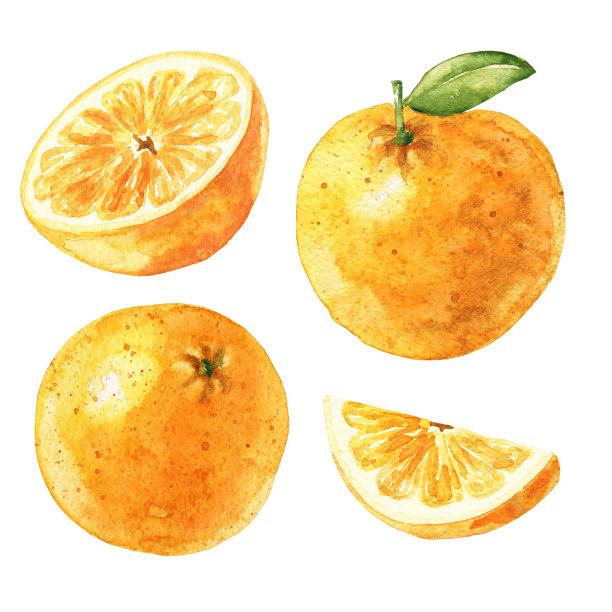 手绘水彩橙子孤立的白色背景。带叶的柑橘类水果，切成两半。食物的例子。图片下载