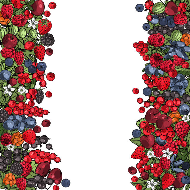 手绘浆果。向量的背景。图片下载