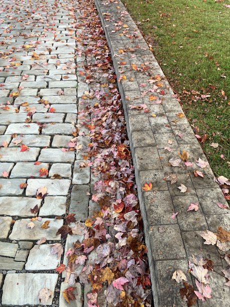 秋天的鹅卵石路图片下载