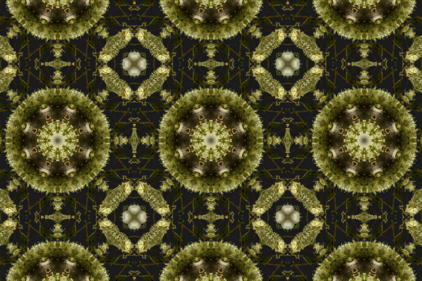 抽象多彩的无缝图案与花卉图案从花和叶子图片下载