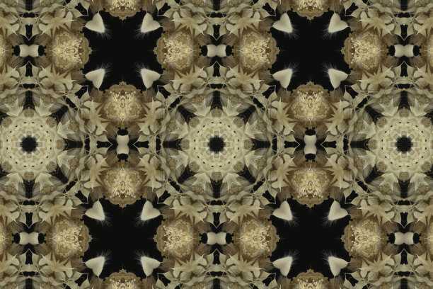 抽象多彩的无缝图案与花卉图案从花和叶子图片下载