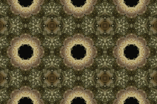 抽象多彩的无缝图案与花卉图案从花和叶子图片下载