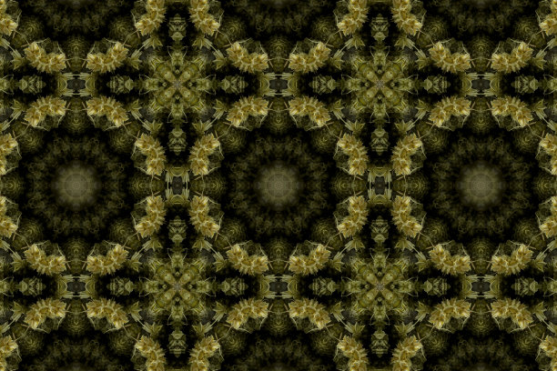 抽象多彩的无缝图案与花卉图案从花和叶子图片下载