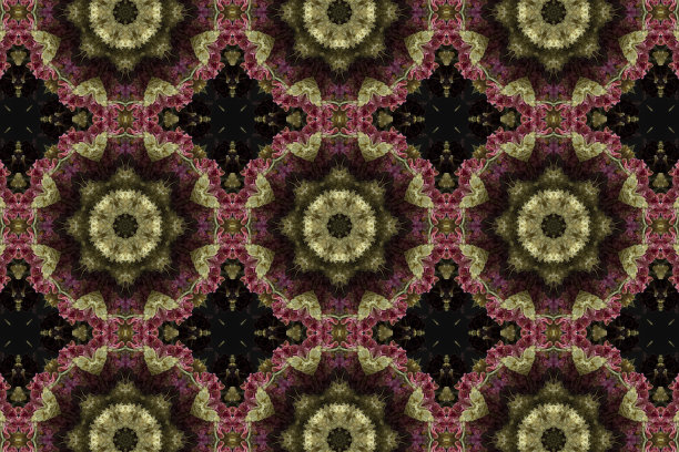 抽象多彩的无缝图案与花卉图案从花和叶子图片下载