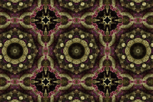 抽象多彩的无缝图案与花卉图案从花和叶子图片下载