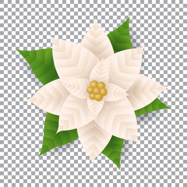 白色圣诞一品红花透明背景，纸艺术和数字工艺风格图片下载