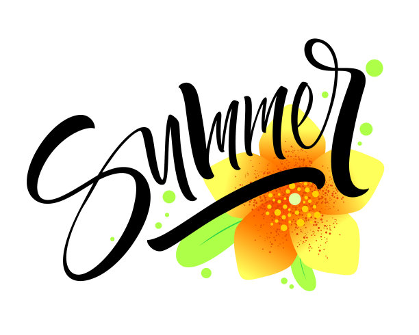 夏日的文字与鲜花图片下载