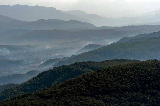 山剪影，木全景图片下载