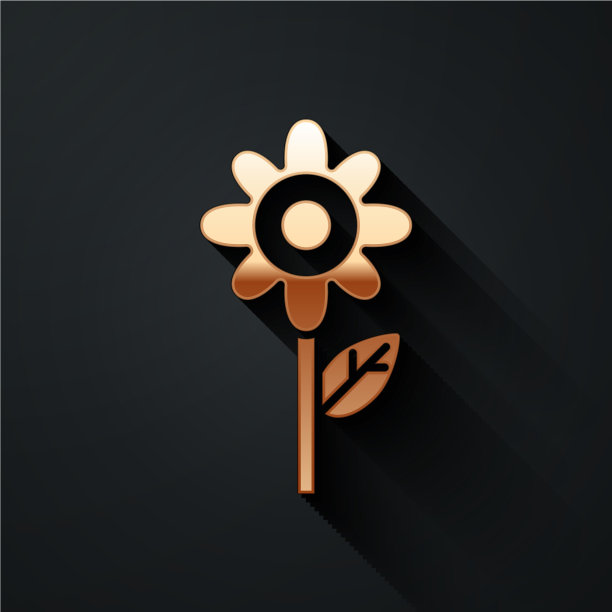 金色的花图标孤立在黑色的背景图片下载