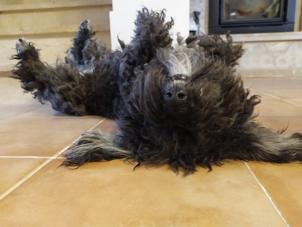 午睡后吃图片下载