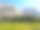 在优胜美地国家公园的山和草原，在美国加利福尼亚州的国家公园图片下载
