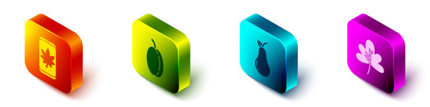 在手机上设置等距叶梅果图片下载