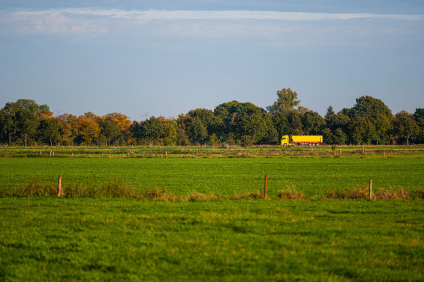 一辆明黄色的卡车开在远处的乡间小路上，穿过田园诗般的田野图片下载