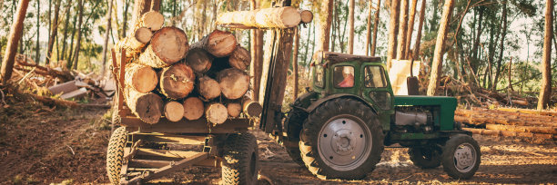 在森林里工作的收割者。图片下载