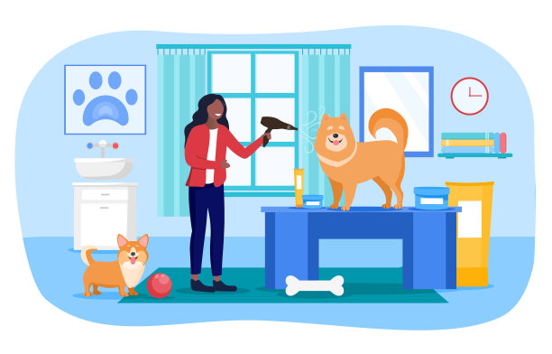 一个女孩擦干她的哈士奇或雪橇犬图片下载