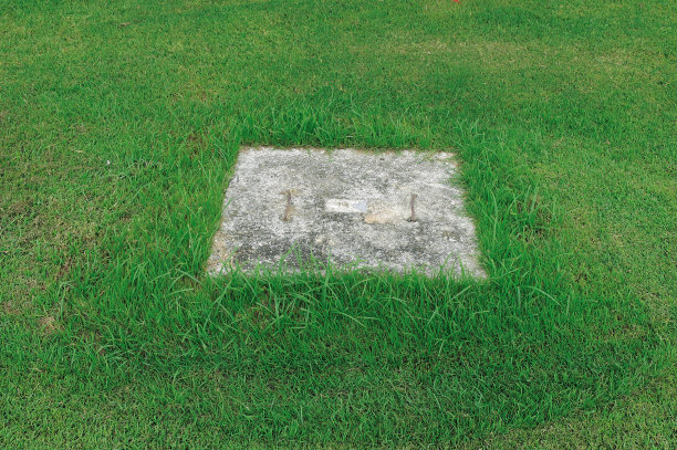 绿色草坪上的方形混凝土帽图片下载