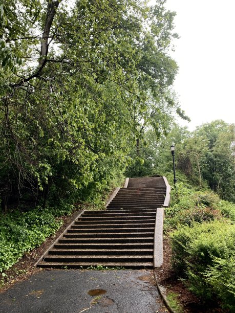 雨中的脚步图片下载