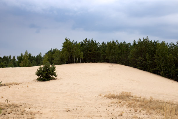 阿塔卡马沙漠是这片神奇沙漠最干燥地区的广阔延伸只有沙子，岩石和汽车的痕迹留在这片古老干燥的地面上，在无限的地平线上看不到任何生命图片下载