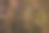 树干的特写与树皮细节作为自然背景和纹理图片下载