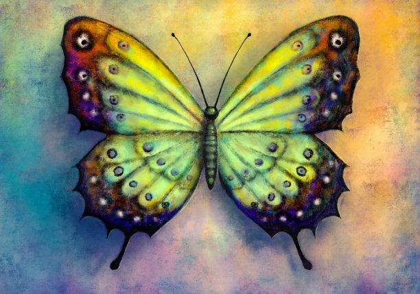 抽象绘画的蝴蝶图片下载