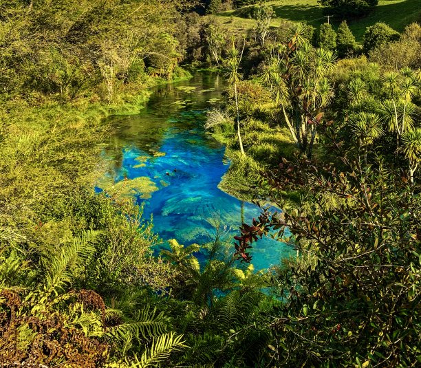 新西兰Putaruru的蓝泉风景照片图片下载